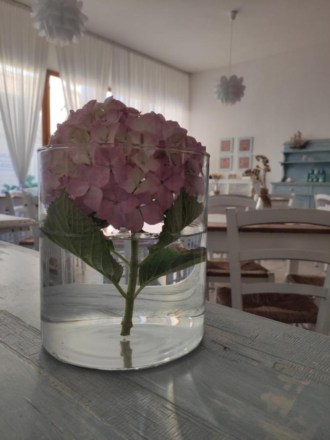 Hotel Imperia Marciana Marina  Dış mekan fotoğraf
